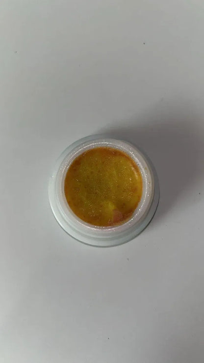 Cockroach Killer gel  Pack of 2